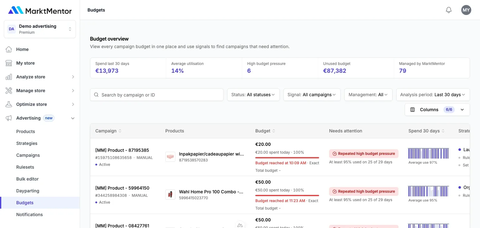 Budgetoverzicht van advertentiecampagnes in het MarktMentor-dashboard